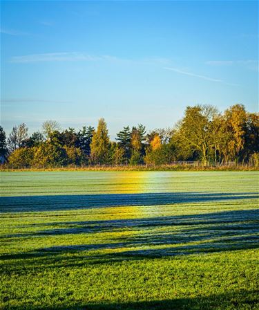 Een regenboog op de grond - Pelt