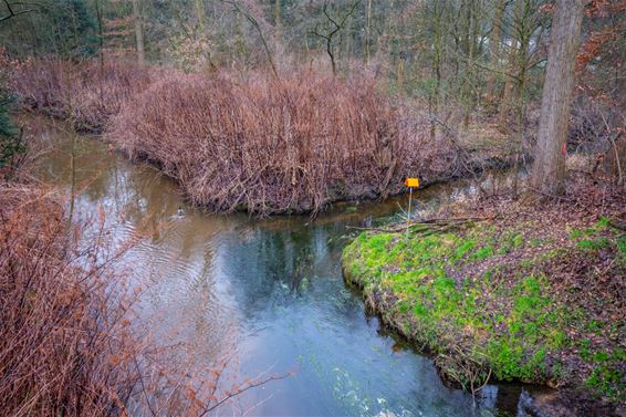 Een 'riviercontract' voor de Dommel - Pelt