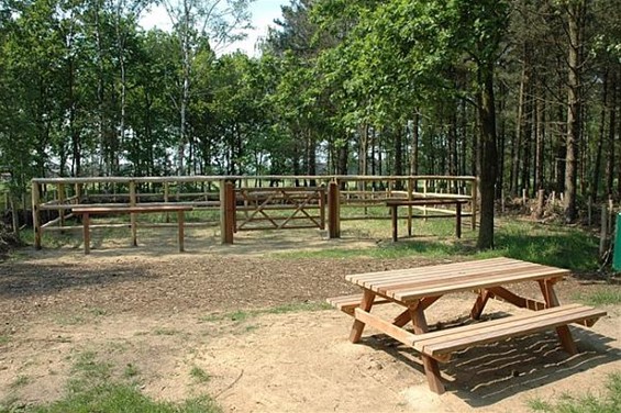 Een rustplaats voor paard en ruiter - Neerpelt