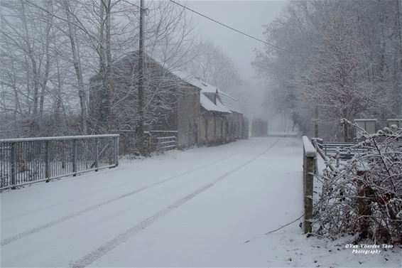 Een sneeuwbui over 't Mulke - Hamont-Achel