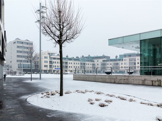 Een sneeuwtapijt over Lommel - Lommel