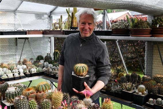 Een stekelige hobby - Beringen