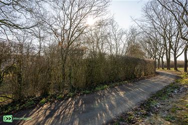 Een sterker bos voor morgen in Bocholt - Bocholt