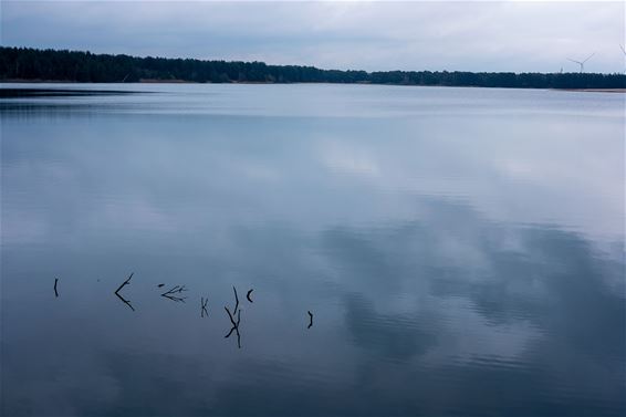 Een stille ochtend aan het Parelstrand - Lommel