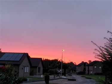 Een stralende ochtend - Beringen & Leopoldsburg