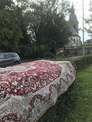 Een tapijt over de haag - Houthalen-Helchteren
