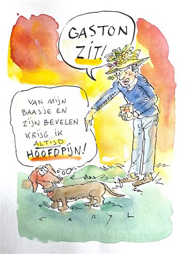 Een teckel met een eigen verhaal