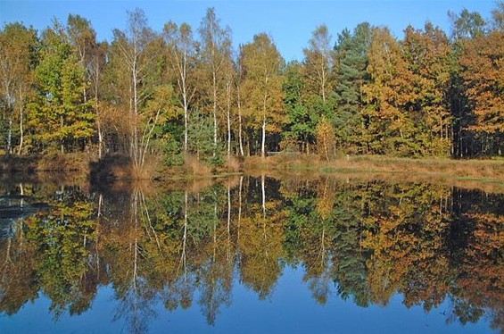 Een 'theatrale' boswandeling, zondag - Overpelt