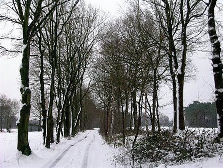 Een trage, witte weg - Neerpelt