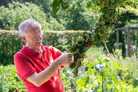Een tuin vol leven, kunst en eigen oogst - Pelt
