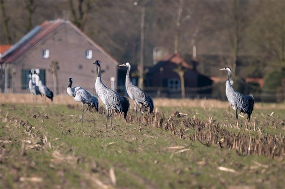 Een tussenstop op de Achterhoek - Hamont-Achel