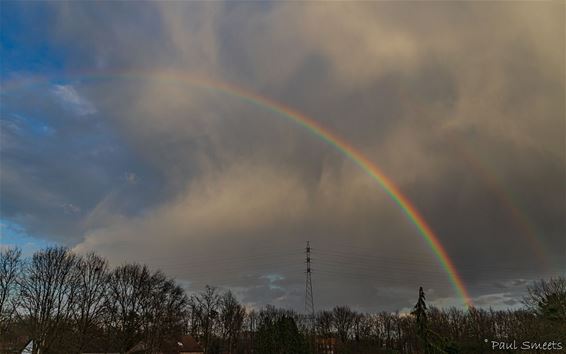 Een Valentijnsregenboog - Pelt