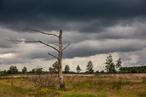 Een verschil van amper een uur... - Lommel