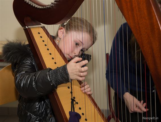 Een viool, of toch maar de saxofoon? - Neerpelt