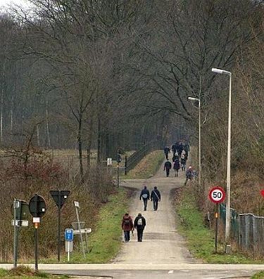 Een vroege lentewandeling in stofsneeuw - Meeuwen-Gruitrode