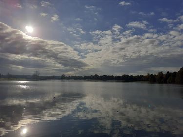 Een waterzonnetje - Beringen