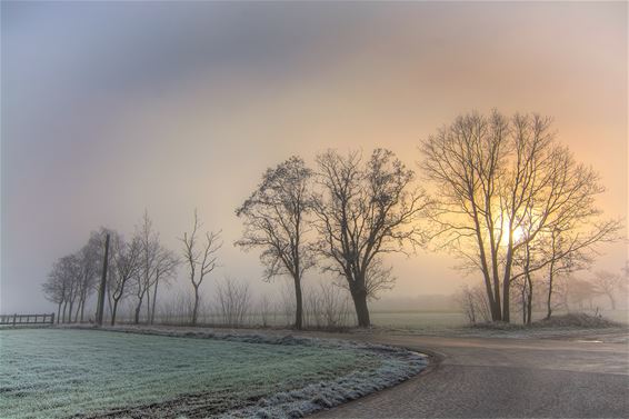 Een winterse ochtend vandaag - Lommel