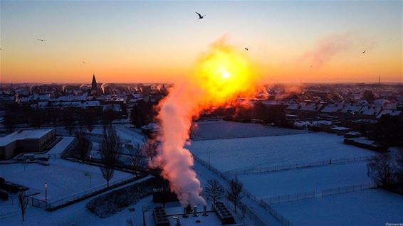 Een winterse ochtendgloed - Pelt