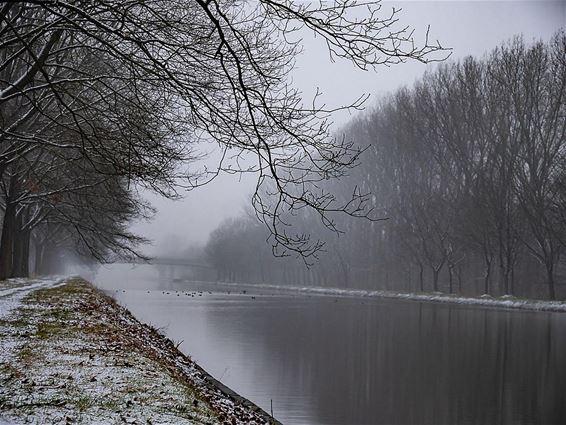 Een witte winterprik - Pelt