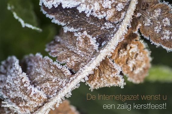 Een zalige Kerst!