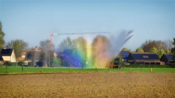 Een zelfgemaakte regenboog - Pelt