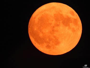 Een zoete volle maan aan de zomerhemel - Lommel