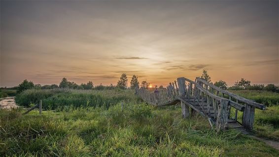 Een zomeravond in het Hageven - Neerpelt