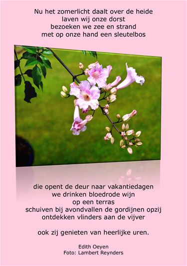 Een zomers gedicht - Beringen & Leopoldsburg