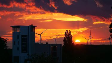 Een zonnig intermezzo - Beringen