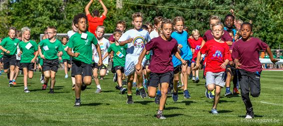 Een zonovergoten scholenveldloop - Neerpelt