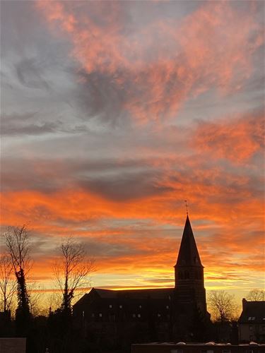 Een zonsopgang uit het boekje - Pelt