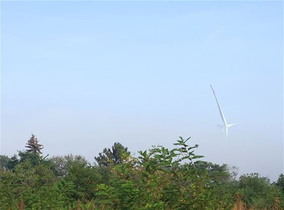 Een zwevende turbine - Pelt