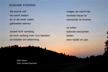 Eenzame sterren - Beringen