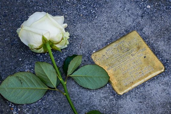 Eerbetoon aan vier verzetsmensen met Stolpersteine - Leopoldsburg