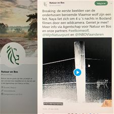 Eerste beelden van wolf Naya