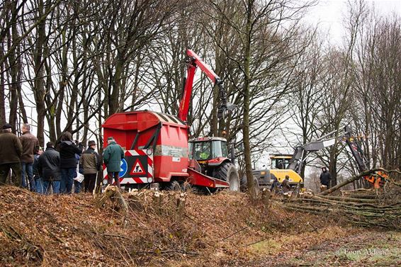 Eerste hout uit houtkanten versnipperd - Neerpelt