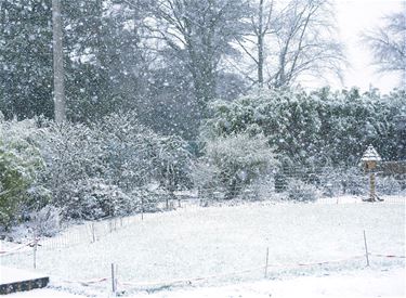 Eerste sneeuwbuien - Beringen & Leopoldsburg