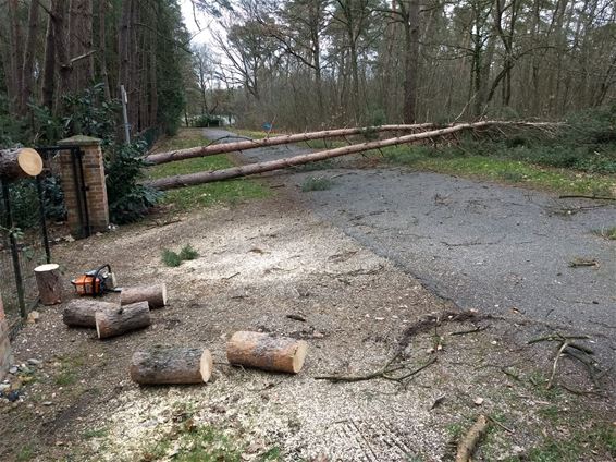 Stormmeldingen in Limburg