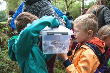 EigenWijs op kikkerzoektocht - Lommel