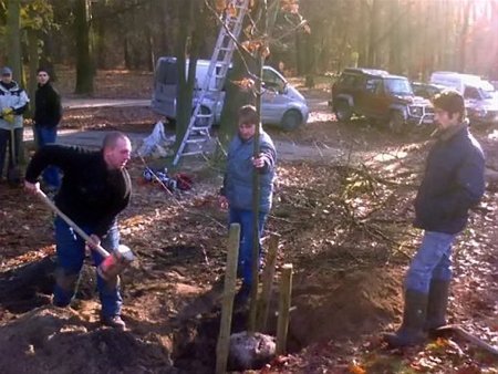 Eiken rond het kampvuur - Neerpelt
