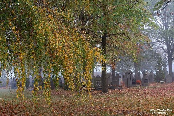 Eind oktober op het kerkhof - Hamont-Achel