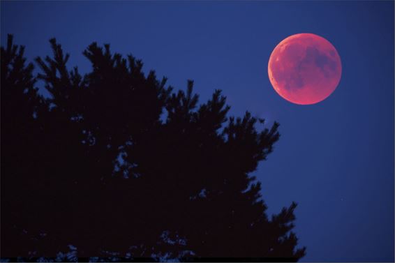 Eindelijk: de mooie bloedmaan - Lommel