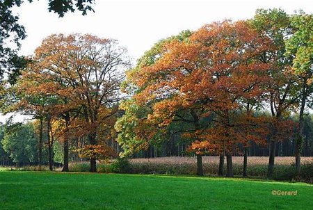 Eindelijk: de zon... - Hamont-Achel