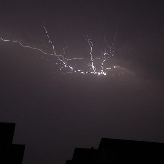 Eindelijk nog eens regen - Overpelt