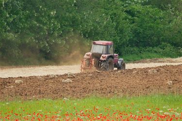 Eindelijk op het veld - Beringen