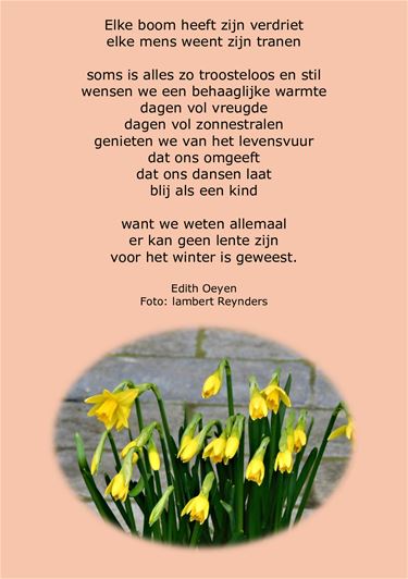 Leopoldsburg - Elke boom heeft zijn verdriet