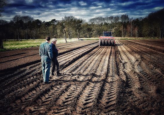 En de boer... hij ploegde voort - Lommel