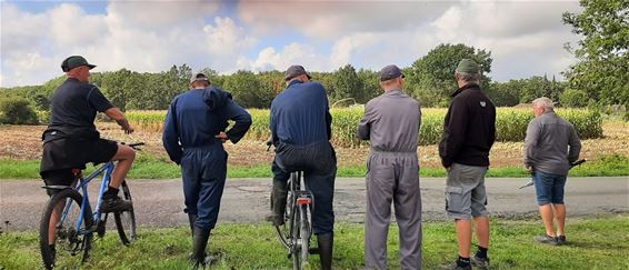 En de boer, hij zag dat het goed komt - Pelt