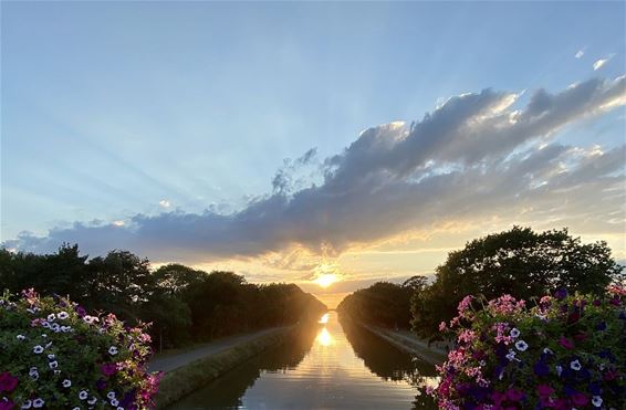 En de zon mooi in het midden - Pelt