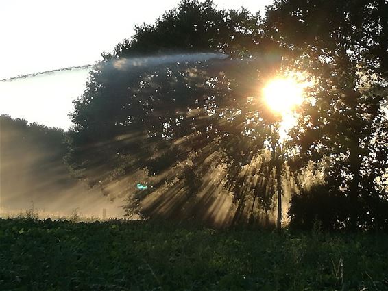 En maar sproeien - Neerpelt